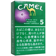 tkm-camel_brycp5