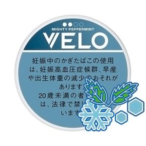 tsn-velo_mypemt_ints2