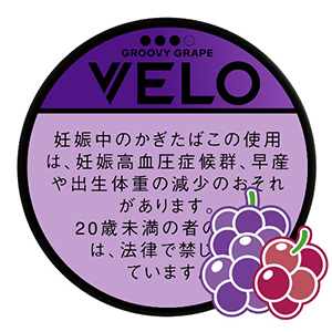 tsn-velo_groovygrp_xints